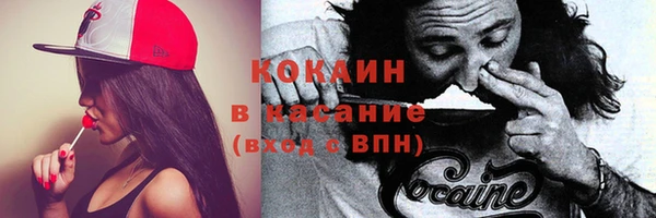 крисы Бородино
