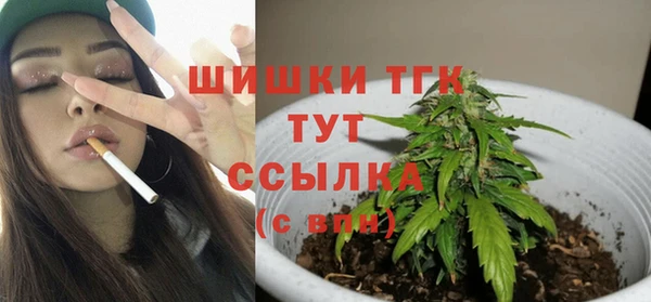 крисы Бородино