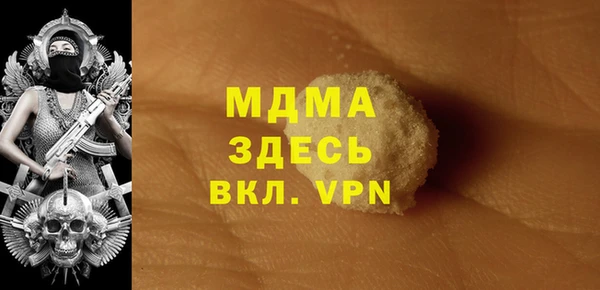 крисы Бородино