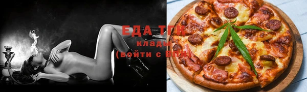 крисы Бородино