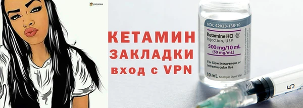 крисы Бородино