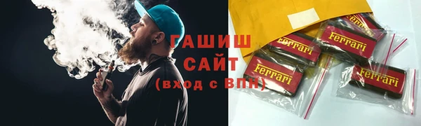 крисы Бородино