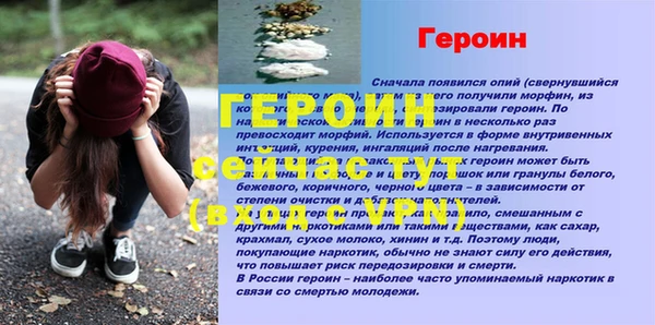 крисы Бородино