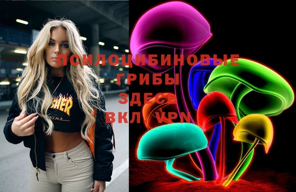 дмт Бронницы