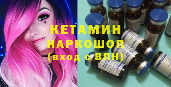 крисы Бородино