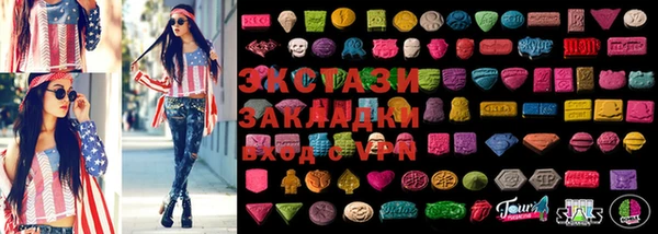 крисы Бородино