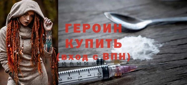 крисы Бородино