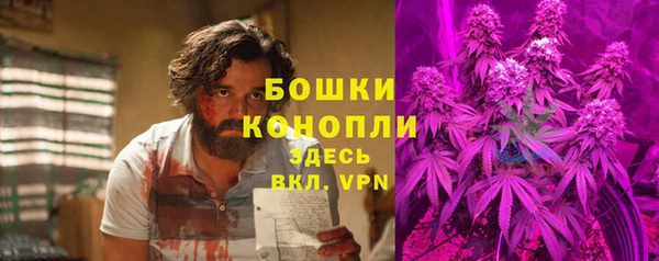 гидра Богданович