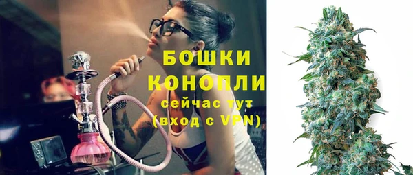 крисы Бородино