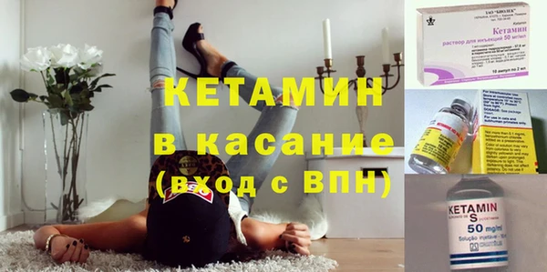 крисы Бородино