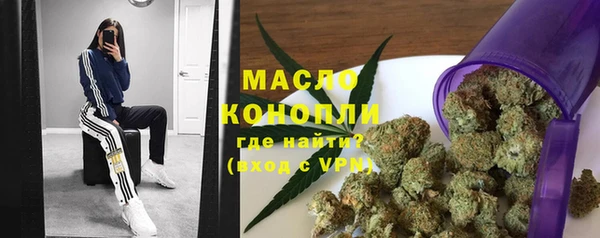 крисы Бородино