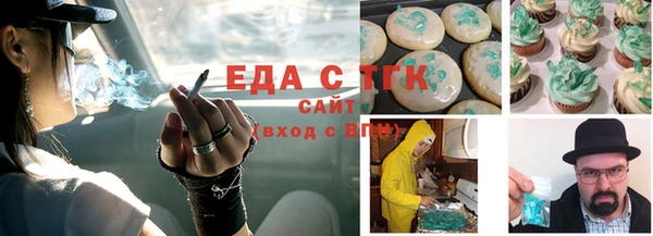 крисы Бородино