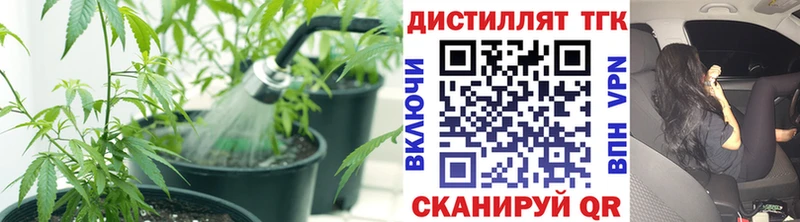 ТГК концентрат  купить  сайты  Сретенск 