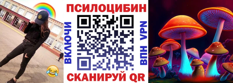 Псилоцибиновые грибы Cubensis darknet телеграм Сретенск